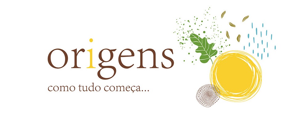 Projecto Origens
