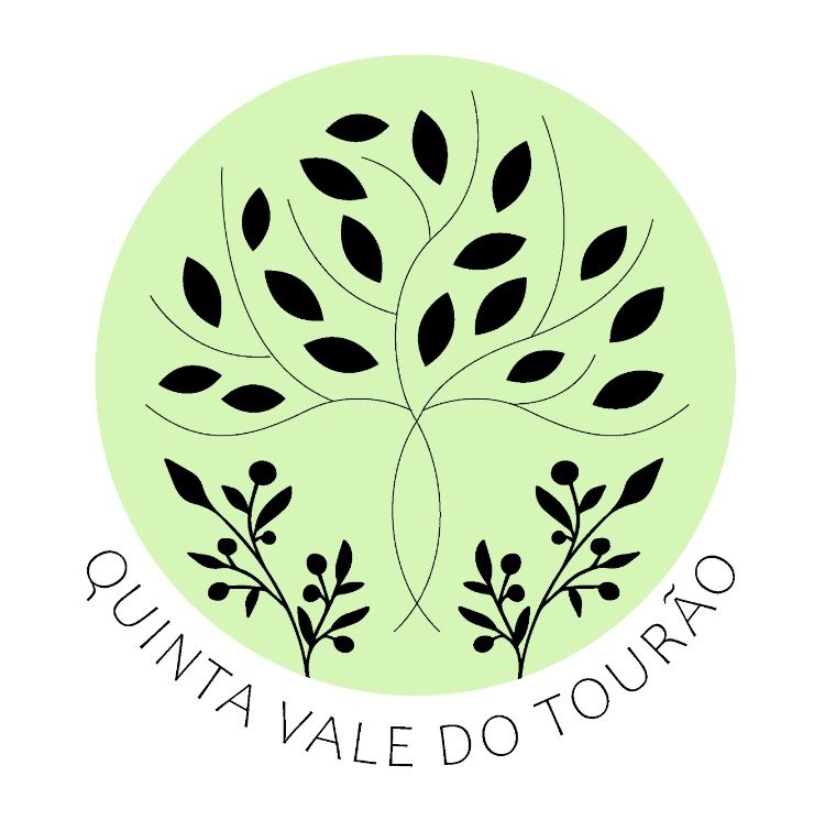 Logo Quinta Vale Do Tourão